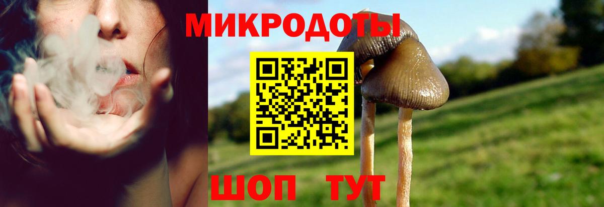наркотики  Вход с VPN  Кохма  Псилоцибиновые грибы MAGIC MUSHROOMS 